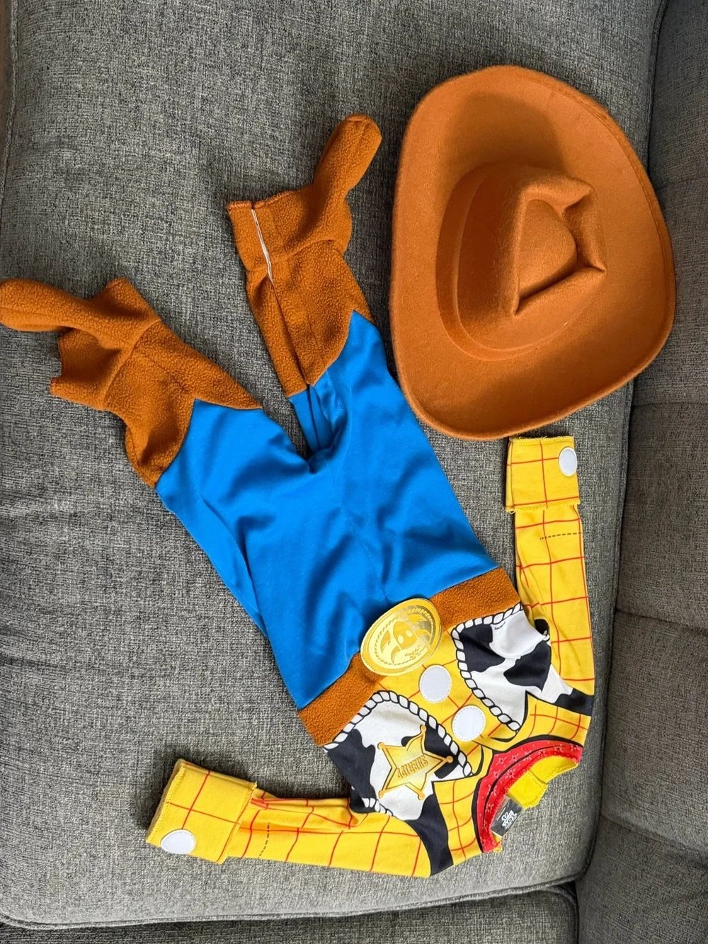 Disney Woody Deluxe Infant Costume- Toy Story